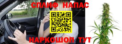 Альфа ПВП Ярославль