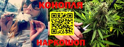 Альфа ПВП Ярославль
