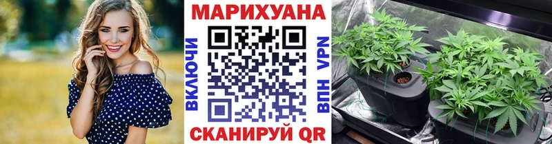 Бошки марихуана ГИДРОПОН Шали